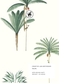 Palms Sample